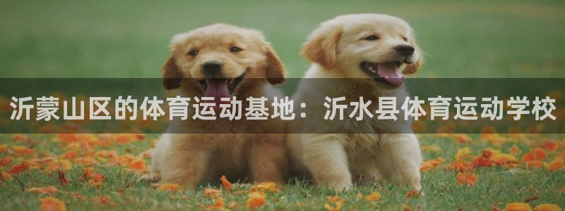 谈球吧体育官网