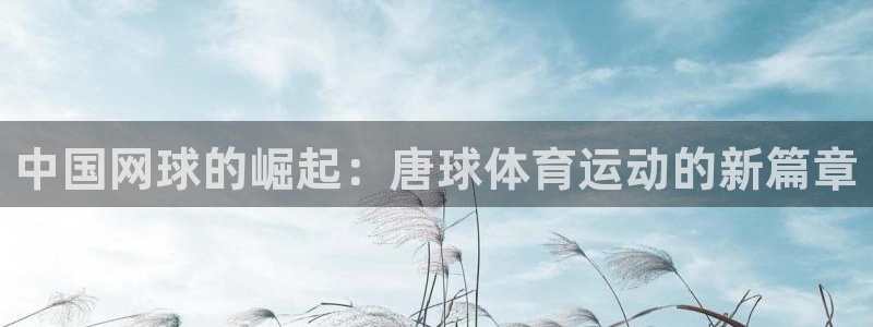 谈球吧体育