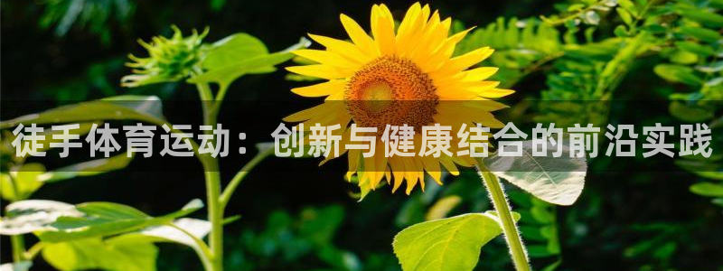 谈球吧