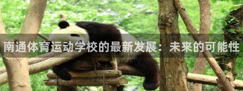 谈球吧体育官网