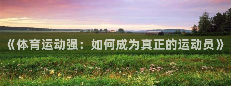 谈球吧