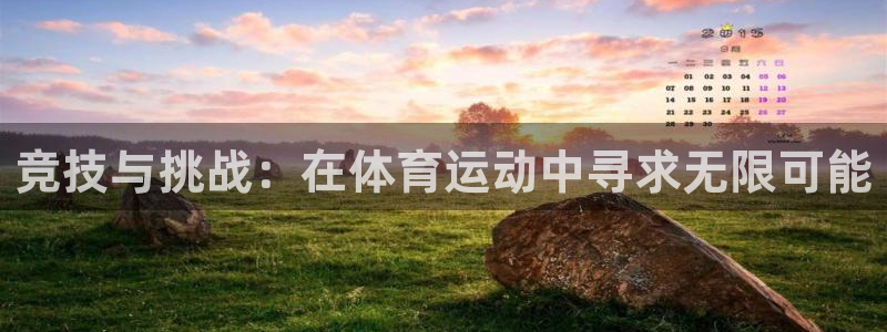 谈球吧体育