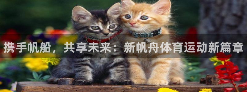谈球吧体育官网